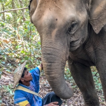 EFCE6738-3291-4289-BC50-A75692ED897C EFCE6738-3291-4289-BC50-A75692ED897C