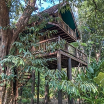 FD5E7D43-EAA0-4EC8-A661-4BCC38CEB314 FD5E7D43-EAA0-4EC8-A661-4BCC38CEB314