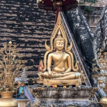 FF980E95-7665-4E4C-9348-F8755464AE48 FF980E95-7665-4E4C-9348-F8755464AE48