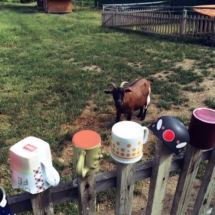 1C6297BD-C6C8-4E32-B44E-7281160B828E 1C6297BD-C6C8-4E32-B44E-7281160B828E