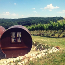 50757F6F-F7E0-4A97-AFB0-7E76CB90FB3E 50757F6F-F7E0-4A97-AFB0-7E76CB90FB3E