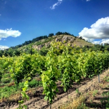 573E09C9-2DC7-49BD-A1E3-470076559430 573E09C9-2DC7-49BD-A1E3-470076559430