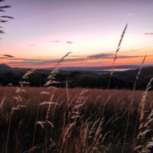 7881872D-A38E-41EB-8C1E-69A469DF3356 7881872D-A38E-41EB-8C1E-69A469DF3356