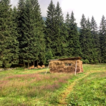 8104CA0A-50FE-4591-8C00-4B26A891396A 8104CA0A-50FE-4591-8C00-4B26A891396A