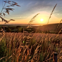 A868B60E-EEE7-4BC0-8F8B-B83FFC03277E A868B60E-EEE7-4BC0-8F8B-B83FFC03277E