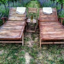 CCC48BD5-F24F-473C-934A-ACD8A142879C CCC48BD5-F24F-473C-934A-ACD8A142879C