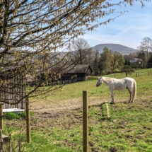 D9E27CD8-B7C4-4FC7-9E1E-A17C79F3F9A3 D9E27CD8-B7C4-4FC7-9E1E-A17C79F3F9A3