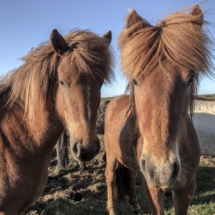 0DB8AEEE-2C4A-4AA3-B8AA-6389CF208FB3 0DB8AEEE-2C4A-4AA3-B8AA-6389CF208FB3