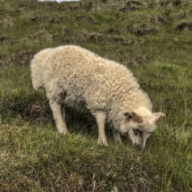 0F0E6FC7-A0CA-4A8F-BA88-6E71C1409534 0F0E6FC7-A0CA-4A8F-BA88-6E71C1409534