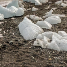 4F7FF380-BD20-4982-B60C-B4F312FD0AA1 4F7FF380-BD20-4982-B60C-B4F312FD0AA1