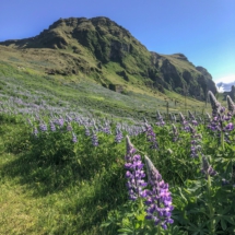 823656EB-3722-479B-BF4B-2DA8F9F83064 823656EB-3722-479B-BF4B-2DA8F9F83064