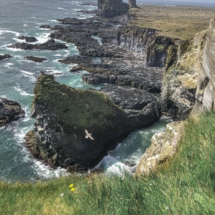 8FBEF6D3-78FD-4F8D-918C-FEB0C810E9B9 8FBEF6D3-78FD-4F8D-918C-FEB0C810E9B9