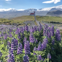 A2C8B4AE-836D-4B20-8B21-7B1C27E91168 A2C8B4AE-836D-4B20-8B21-7B1C27E91168