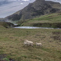 D8AF9176-EDAB-407C-8B79-12FED24BEED5 D8AF9176-EDAB-407C-8B79-12FED24BEED5