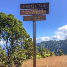 0985AB2E-FA85-4C9C-8D2B-4413E4A0600C 0985AB2E-FA85-4C9C-8D2B-4413E4A0600C