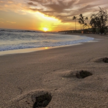 123068A0-E534-4761-B641-D1AB4721408B 123068A0-E534-4761-B641-D1AB4721408B