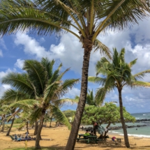 16A2C5E4-FBFF-4DB9-9F9A-2BD409EEA999 16A2C5E4-FBFF-4DB9-9F9A-2BD409EEA999