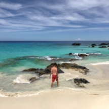 19EA69C5-BA68-4A94-A3AE-B23E126FD867 19EA69C5-BA68-4A94-A3AE-B23E126FD867