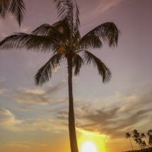 1B304E7C-DEB1-4F17-96EC-9762F769D98C 1B304E7C-DEB1-4F17-96EC-9762F769D98C