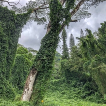 4C55E093-BF30-4812-B370-BC547F04195A 4C55E093-BF30-4812-B370-BC547F04195A