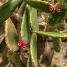 4E6A39FF-6C54-4D03-94CF-069549AAD146 4E6A39FF-6C54-4D03-94CF-069549AAD146