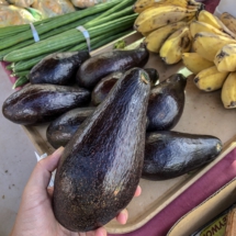 4F575515-8B3F-4693-B7D1-46F75300DD3F 4F575515-8B3F-4693-B7D1-46F75300DD3F