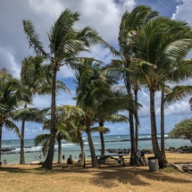 5967DD05-CC34-44E7-8C15-68FB98568B7A 5967DD05-CC34-44E7-8C15-68FB98568B7A