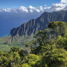 61B37A68-B67F-44E3-9C12-DBA017DC2479 61B37A68-B67F-44E3-9C12-DBA017DC2479