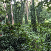 6AE8523E-F435-4A2C-810B-3433906F458A 6AE8523E-F435-4A2C-810B-3433906F458A