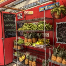 6DDA69CB-A130-4758-A6CC-836A05CBF0E4 6DDA69CB-A130-4758-A6CC-836A05CBF0E4