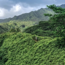 897042EA-9B1F-4CD5-9EFB-A1DBB2116F33 897042EA-9B1F-4CD5-9EFB-A1DBB2116F33