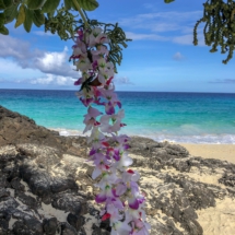 8D42AAEC-BC92-4C42-B1B7-5807D5342D58 8D42AAEC-BC92-4C42-B1B7-5807D5342D58