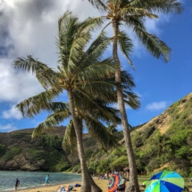 8F29F810-912C-4EA3-97D3-4B8D0F057B81 8F29F810-912C-4EA3-97D3-4B8D0F057B81