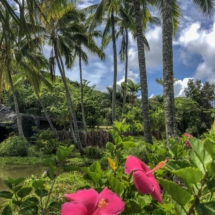 9096354E-6B24-4588-9801-1B94EA20D1C2 9096354E-6B24-4588-9801-1B94EA20D1C2