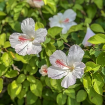 949C0015-C1E2-452D-A71B-8315B6EEEFE3 949C0015-C1E2-452D-A71B-8315B6EEEFE3