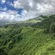 AD1672D8-F121-47FB-A683-6E41BAAA8F0F AD1672D8-F121-47FB-A683-6E41BAAA8F0F