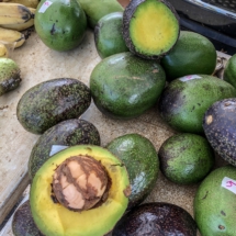 C9561C51-6AC8-4959-B81C-8E7F16EF2C52 C9561C51-6AC8-4959-B81C-8E7F16EF2C52