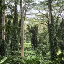 CB4D5E2B-BE2F-4BE2-9164-C4F3D447F911 CB4D5E2B-BE2F-4BE2-9164-C4F3D447F911