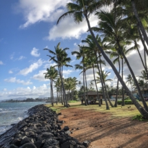 D9EA7A46-8A33-4E3B-9CAC-7B922CE48AF4 D9EA7A46-8A33-4E3B-9CAC-7B922CE48AF4