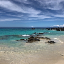 F7039279-6DDE-457E-91AC-7A88363983E7 F7039279-6DDE-457E-91AC-7A88363983E7