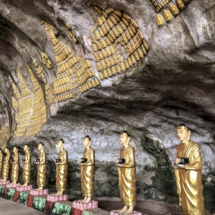 0262C73D-B4B9-433B-A461-D8E0DD93C38D 0262C73D-B4B9-433B-A461-D8E0DD93C38D