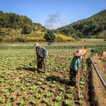 1337275C-CDD9-43F7-AD94-1BB03D474B15 1337275C-CDD9-43F7-AD94-1BB03D474B15