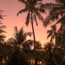 63A55180-4D55-4FAF-B880-C04AAC683377 63A55180-4D55-4FAF-B880-C04AAC683377