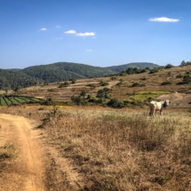 6C7B4E54-4A8F-4EB1-8AD9-62C94C63F9B4 6C7B4E54-4A8F-4EB1-8AD9-62C94C63F9B4