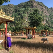 6F51E96A-2DE5-437B-9B40-691F5EFCD641 6F51E96A-2DE5-437B-9B40-691F5EFCD641