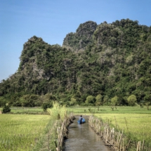 7119EBEB-D0E0-430D-A387-B9E00BEAC836 7119EBEB-D0E0-430D-A387-B9E00BEAC836