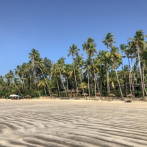 90EAB099-AFFD-407F-9E0D-84FFCF8935DE 90EAB099-AFFD-407F-9E0D-84FFCF8935DE