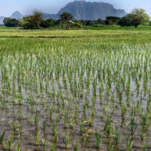 A429F1C1-07F2-4BC0-89E4-34867B359CF4 A429F1C1-07F2-4BC0-89E4-34867B359CF4