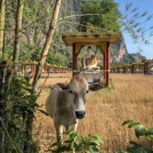 B4BDC796-1D5E-47C5-9B7F-F687E99B98F1 B4BDC796-1D5E-47C5-9B7F-F687E99B98F1