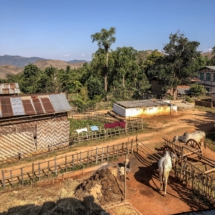 B6FA31E7-22AF-4D98-8A13-7FD32D44A781 B6FA31E7-22AF-4D98-8A13-7FD32D44A781